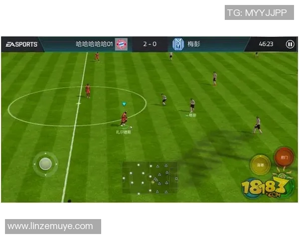 全球足球巨星的成长历程与成就分析及其对足球运动的影响