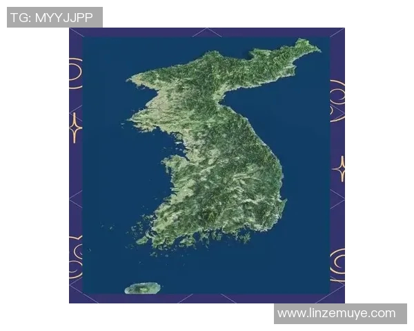 日本与韩国20年对比分析探讨两国发展与文化差异