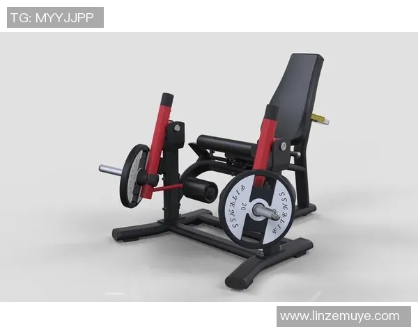 体育健身器材龙头企业如何引领行业发展趋势与市场创新策略分析